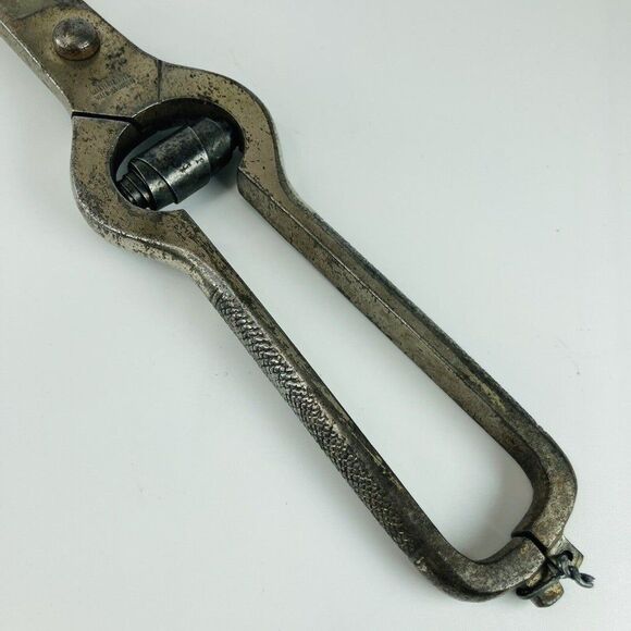 Haastert and Bull Wald Solingen Poultry Shears Vintage 40s 50s Working See Clasp - Picture 3 of 12